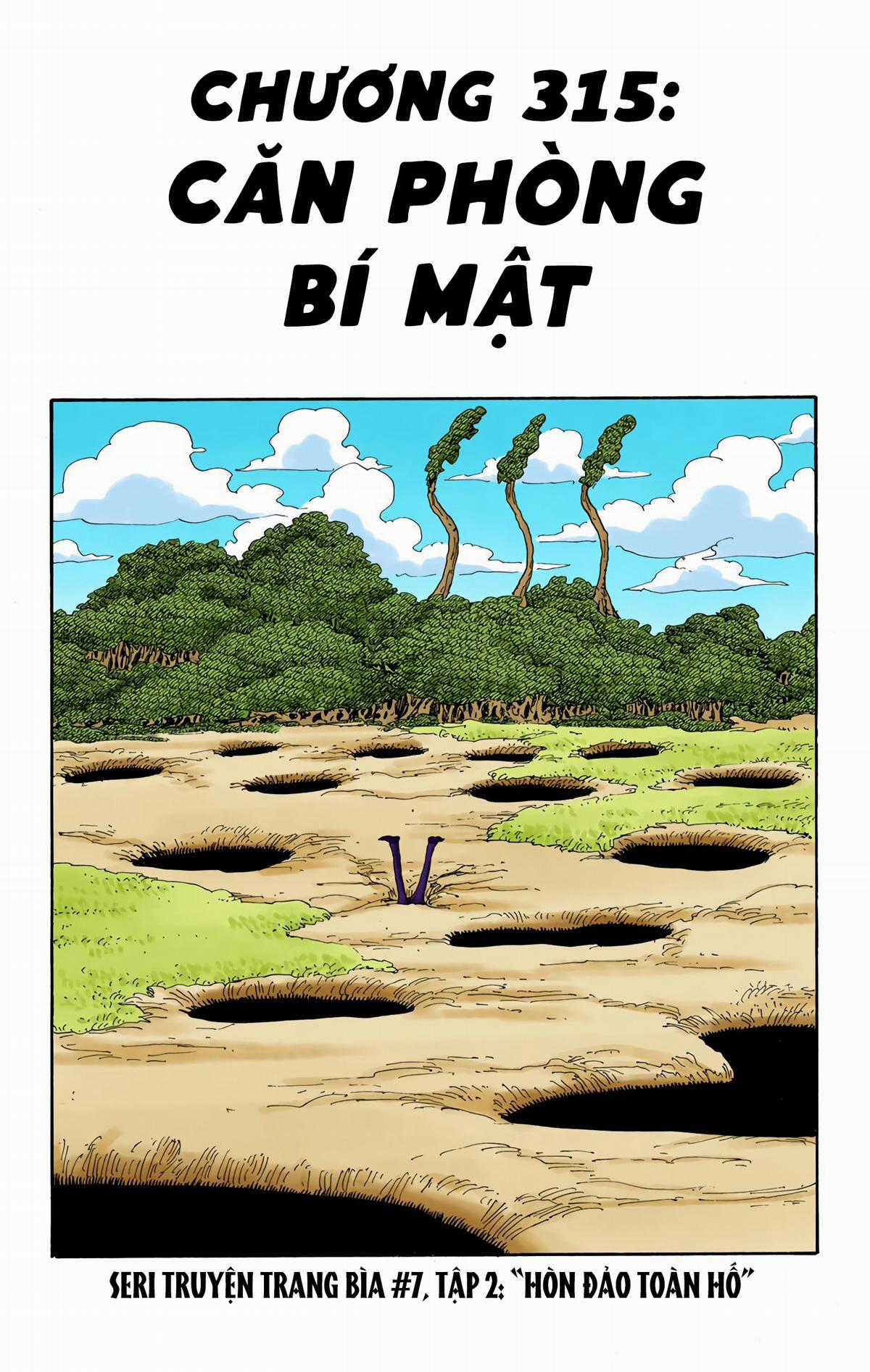 One Piece Color - Chapter 315 - Trang 1