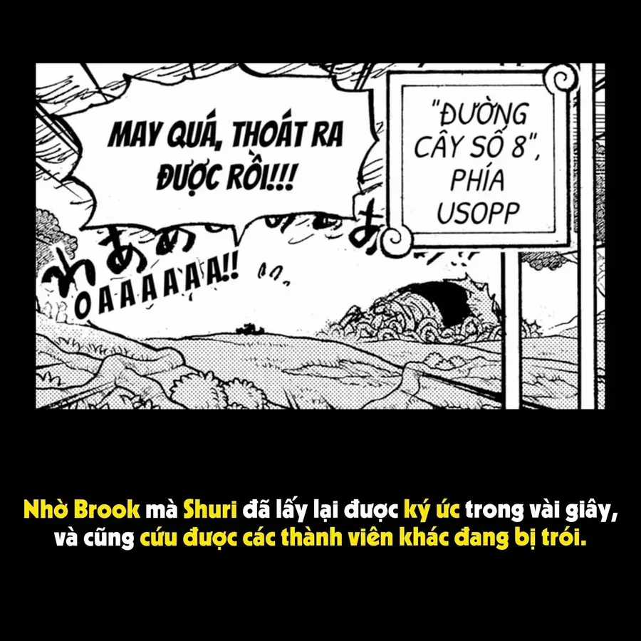 One Piece - Chapter 1173.1 - Trang 43