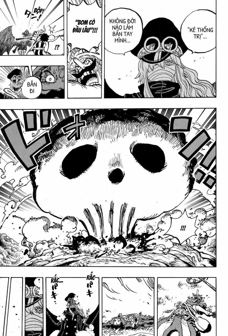 One Piece - Chapter 1177.1 - Trang 14