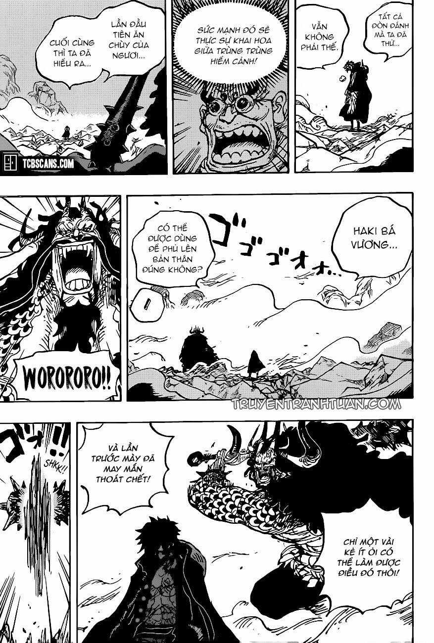 One Piece - Chương 1010 - Trang 12