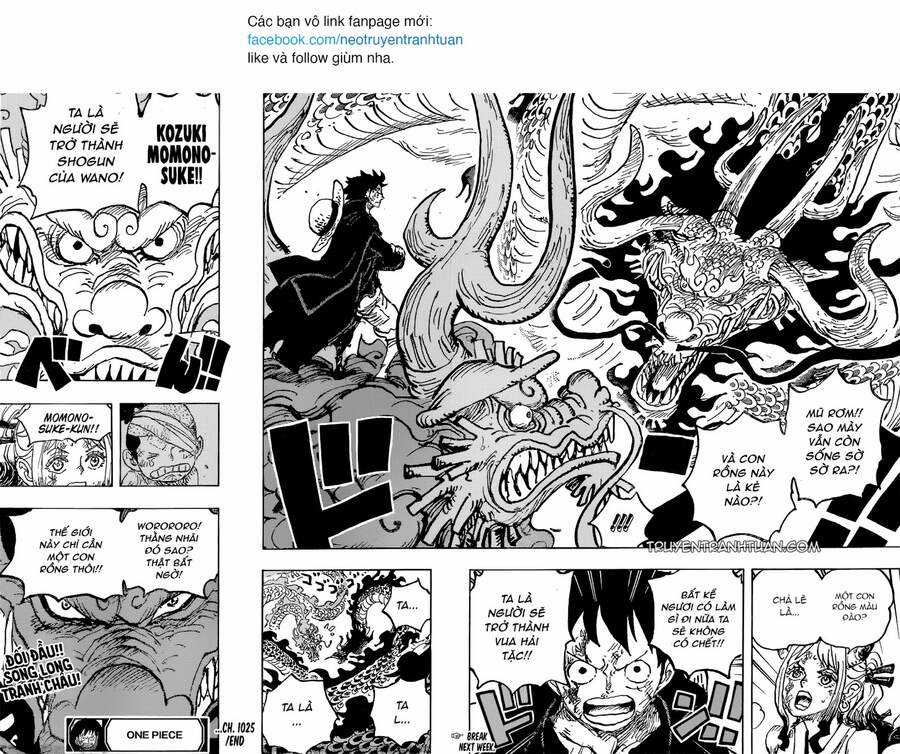 One Piece - Chương 1025 - Trang 16
