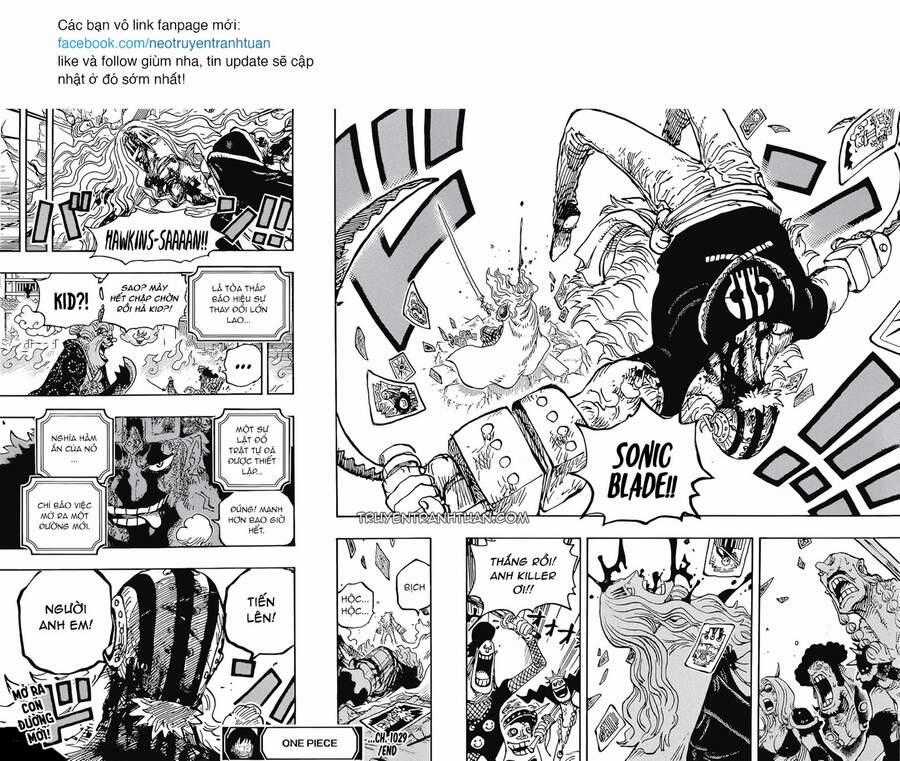 One Piece - Chương 1029 - Trang 14