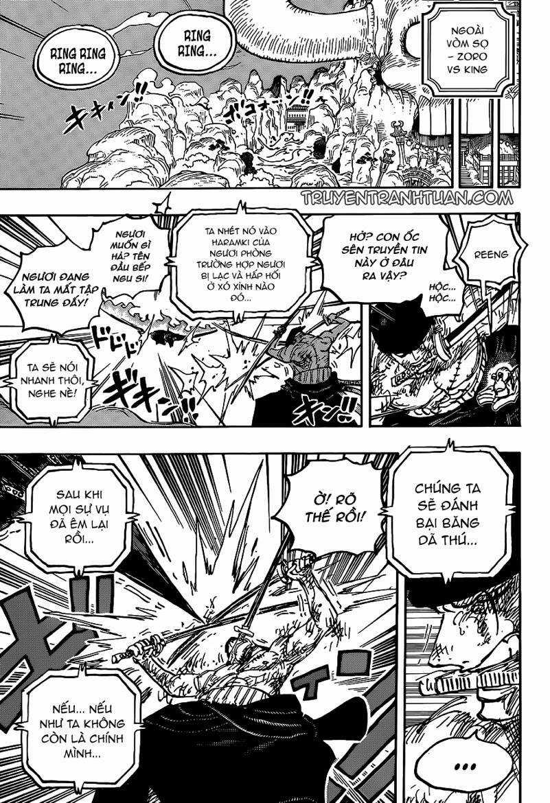 One Piece - Chương 1031 - Trang 16