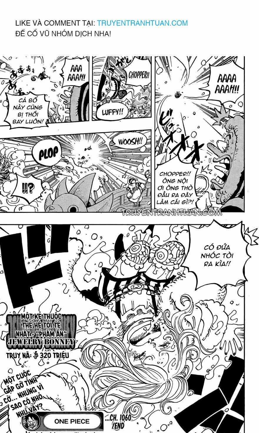 One Piece - Chương 1060 - Trang 17