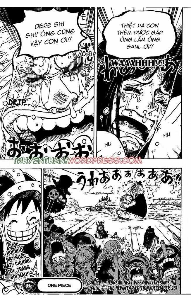 One Piece - Chương 1133 - Trang 15