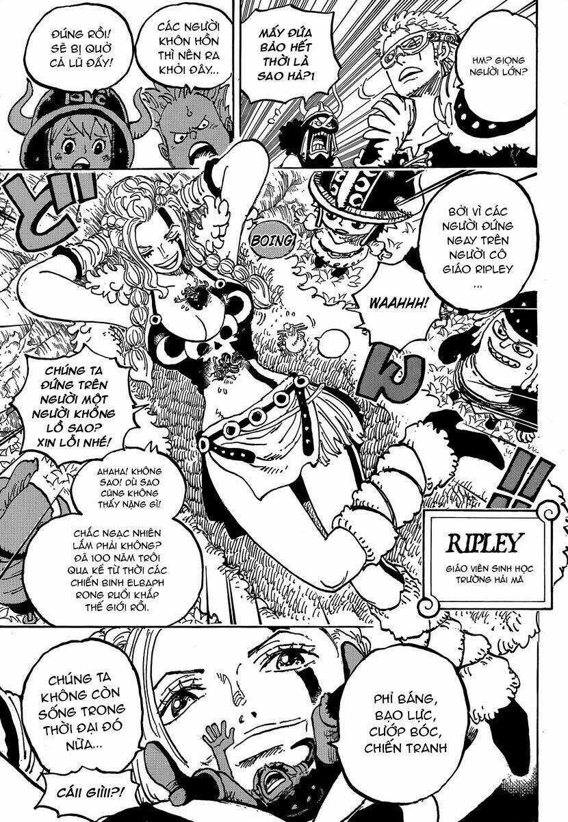 One Piece - Chương 1134 - Trang 9
