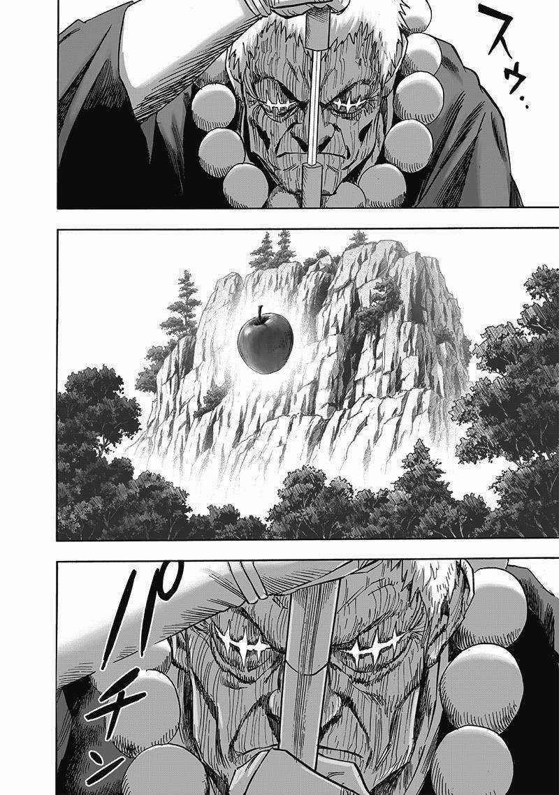 One Punch Man - Chapter 233 - Trang 14