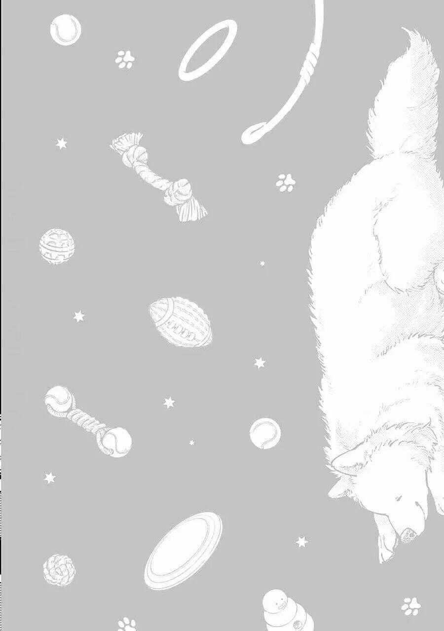 One-Room Wanko - Chapter 1 - Trang 2