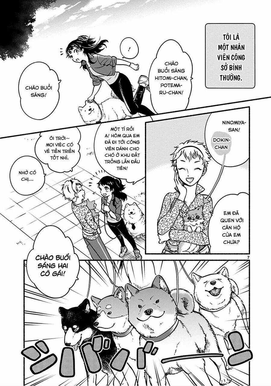 One-Room Wanko - Chapter 1 - Trang 11