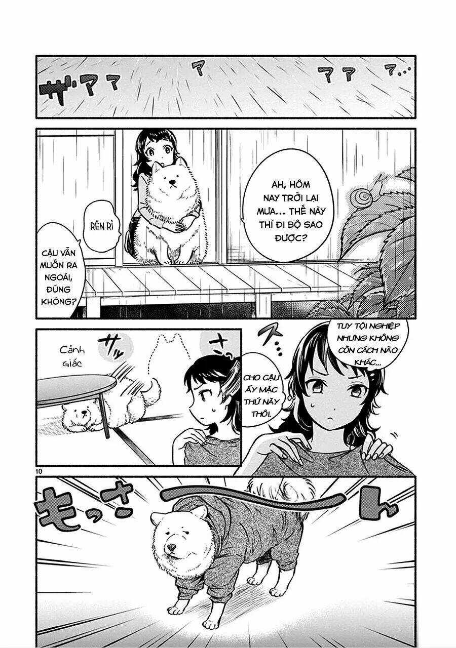One-Room Wanko - Chapter 1 - Trang 14