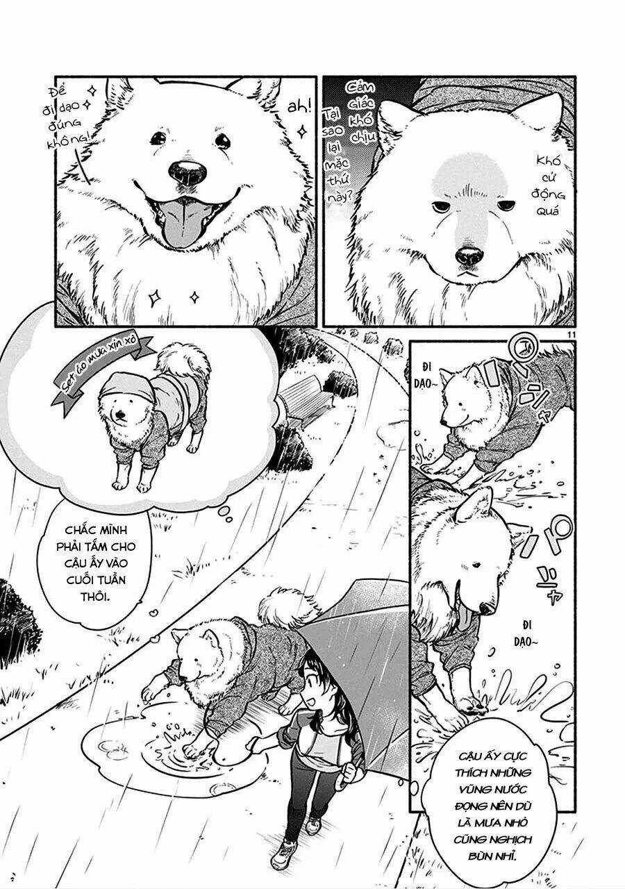 One-Room Wanko - Chapter 1 - Trang 15