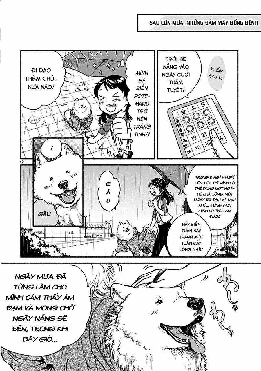 One-Room Wanko - Chapter 1 - Trang 16