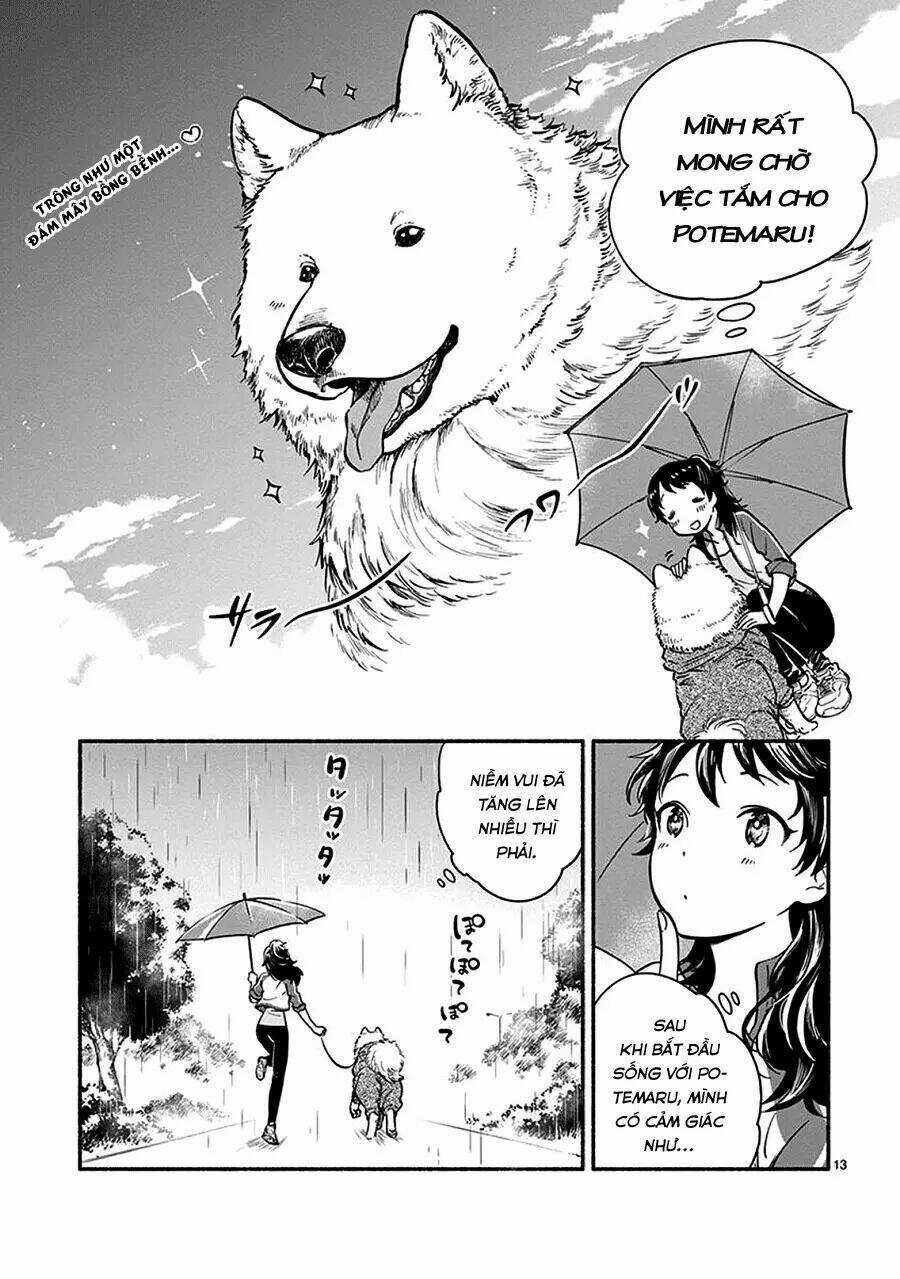 One-Room Wanko - Chapter 1 - Trang 17