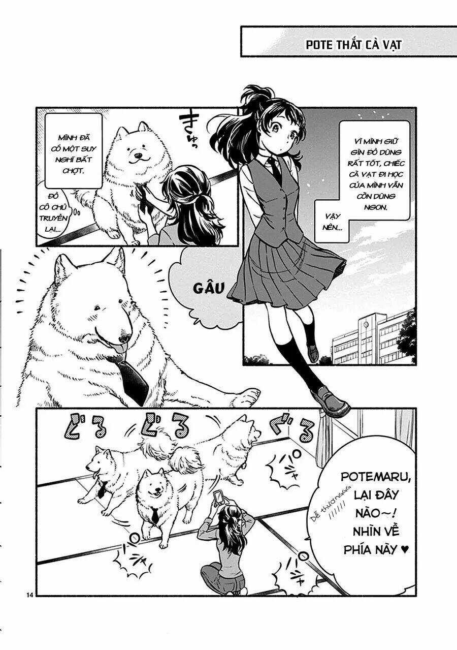 One-Room Wanko - Chapter 1 - Trang 18