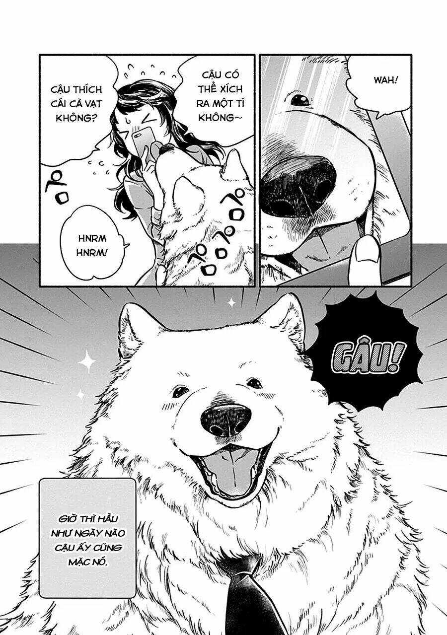 One-Room Wanko - Chapter 1 - Trang 19