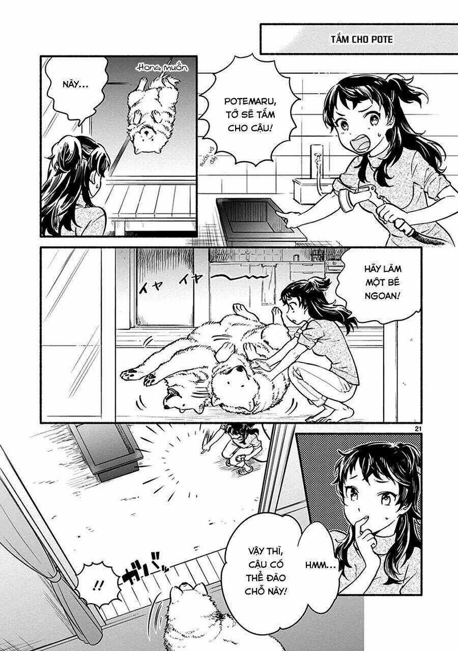 One-Room Wanko - Chapter 1 - Trang 25