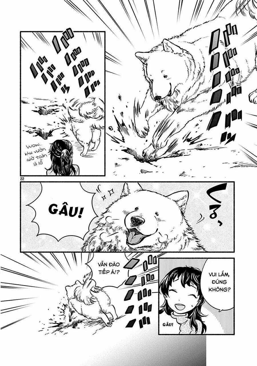 One-Room Wanko - Chapter 1 - Trang 26