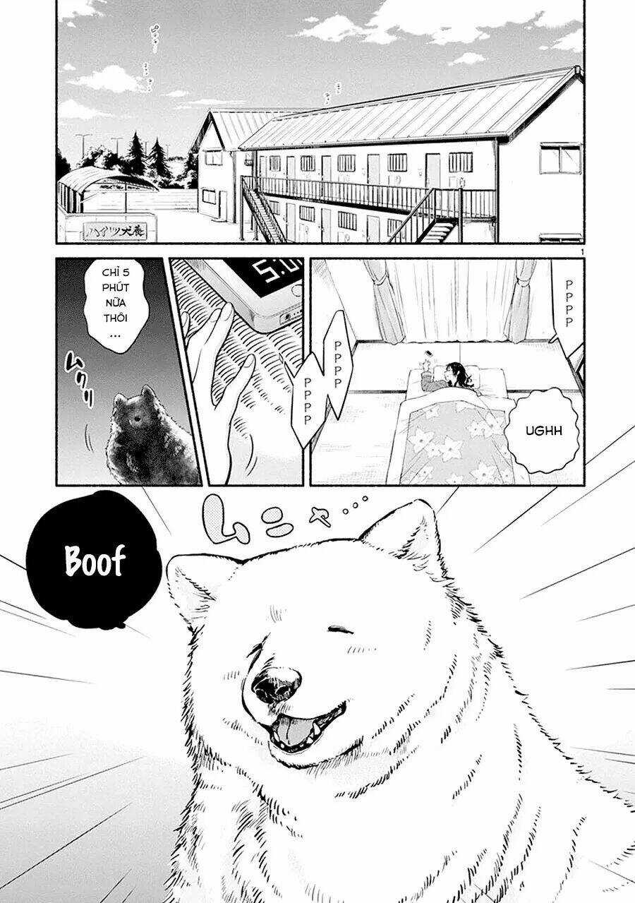One-Room Wanko - Chapter 1 - Trang 5