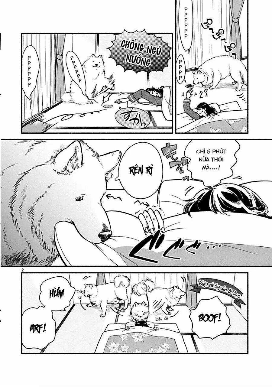 One-Room Wanko - Chapter 1 - Trang 6