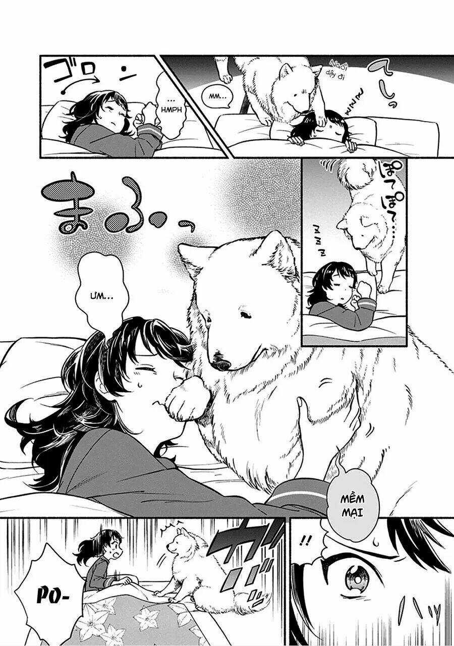 One-Room Wanko - Chapter 1 - Trang 7