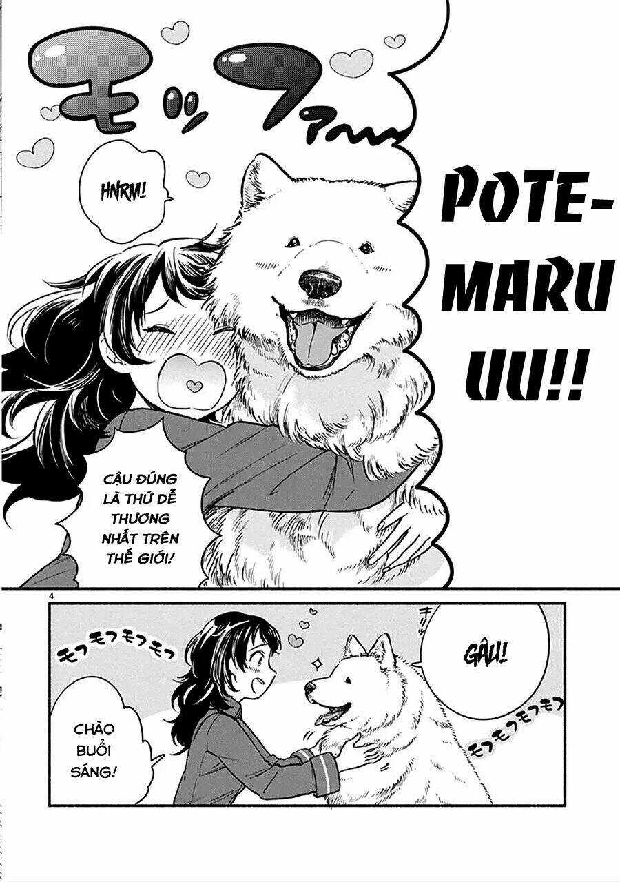 One-Room Wanko - Chapter 1 - Trang 8