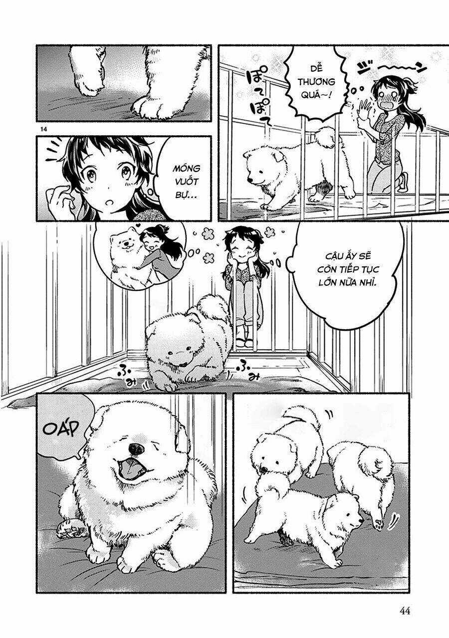 One-Room Wanko - Chapter 2 - Trang 14