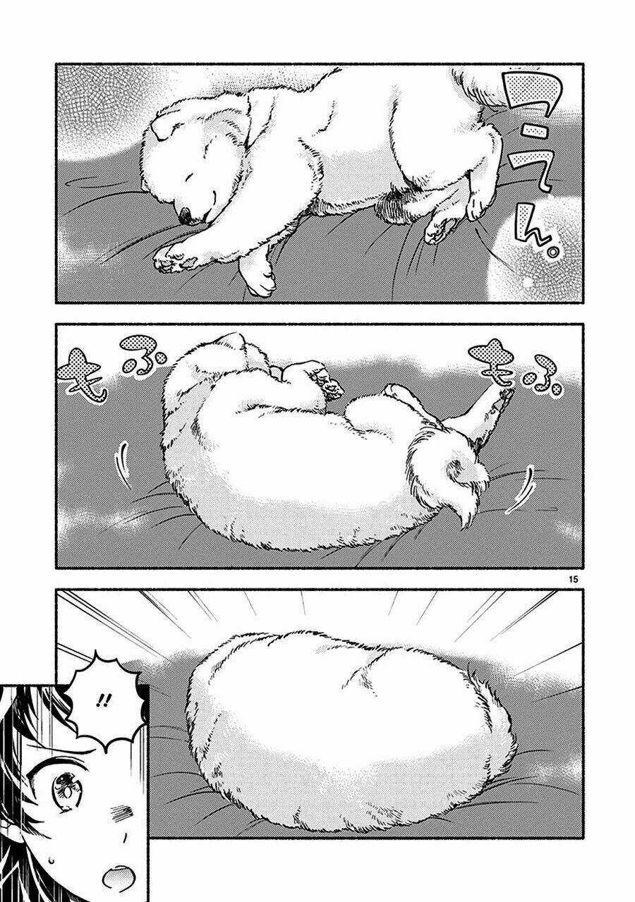 One-Room Wanko - Chapter 2 - Trang 15