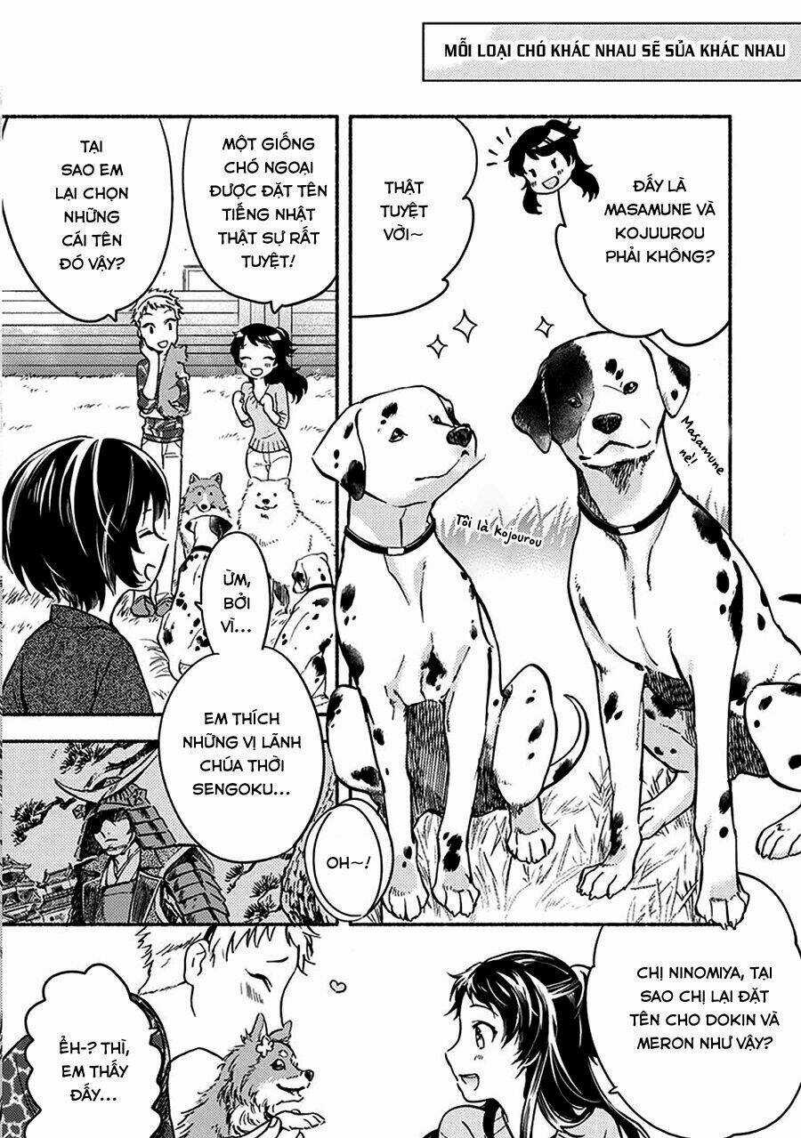 One-Room Wanko - Chapter 2 - Trang 10