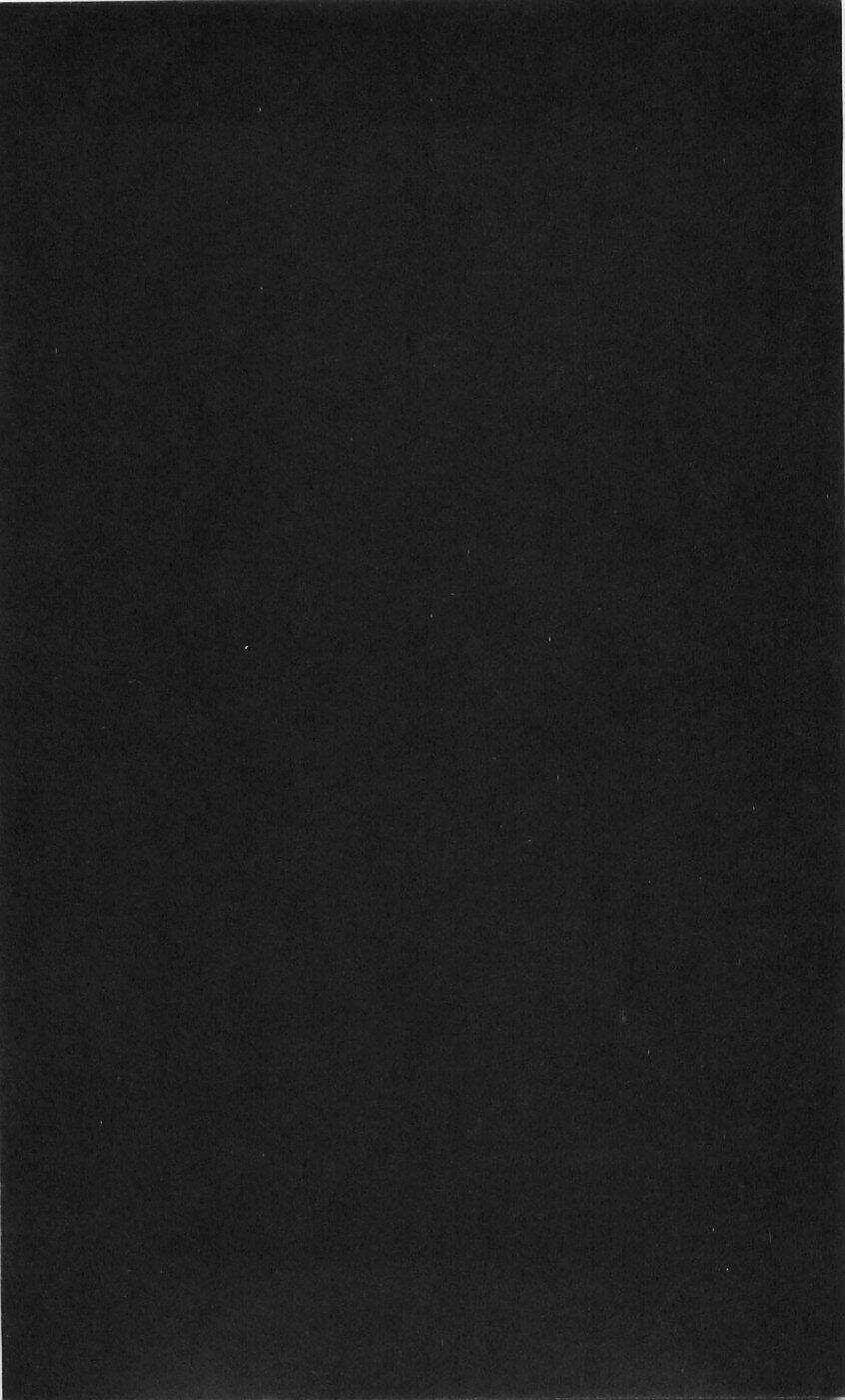 Ong Đưa Thư - Chapter 27 - Trang 7