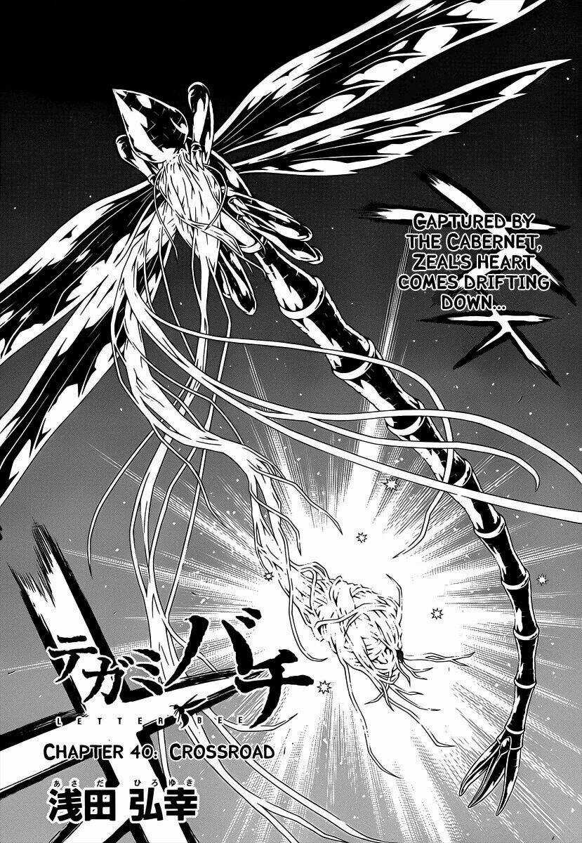 Ong Đưa Thư - Chapter 40 - Trang 4