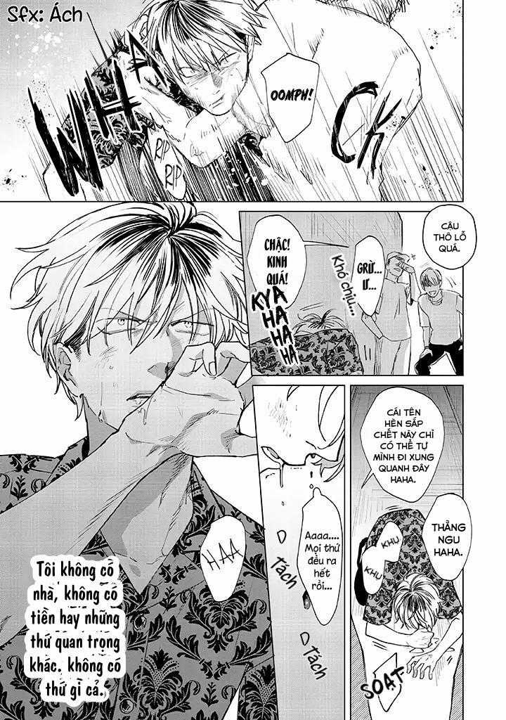 Ong Mật Và Tía Tô Đất - Chapter 1 - Trang 3