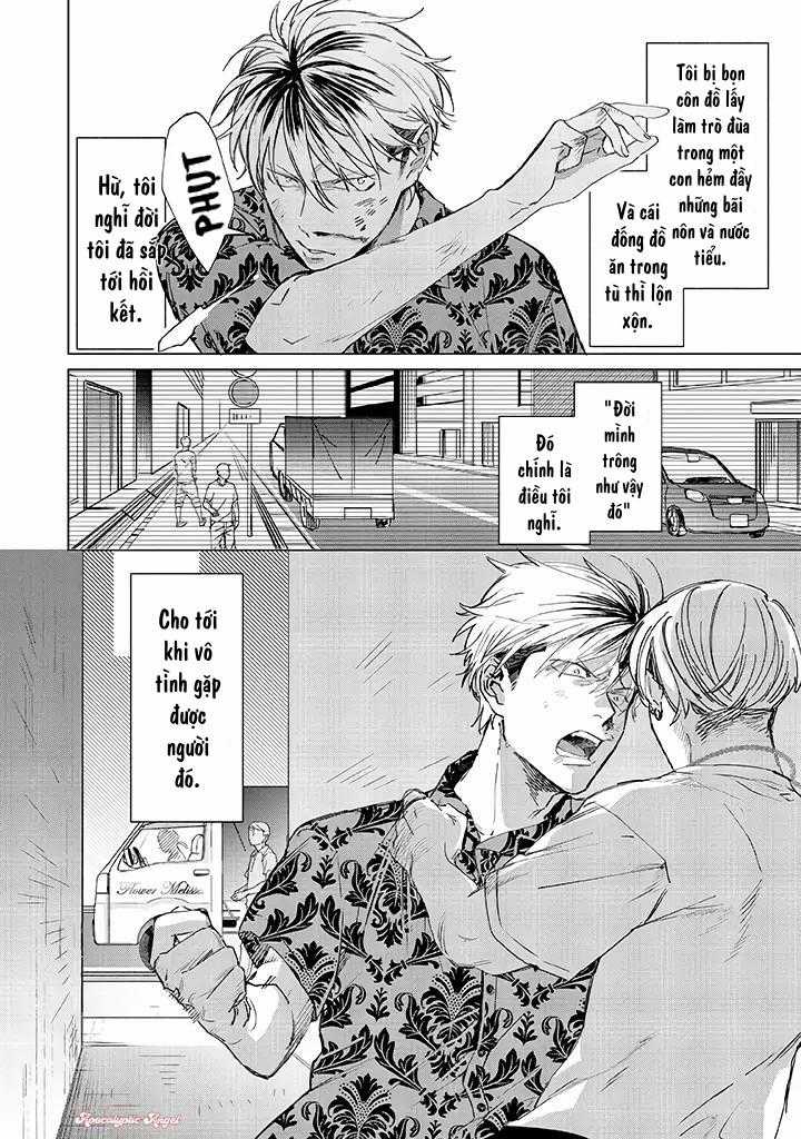 Ong Mật Và Tía Tô Đất - Chapter 1 - Trang 4