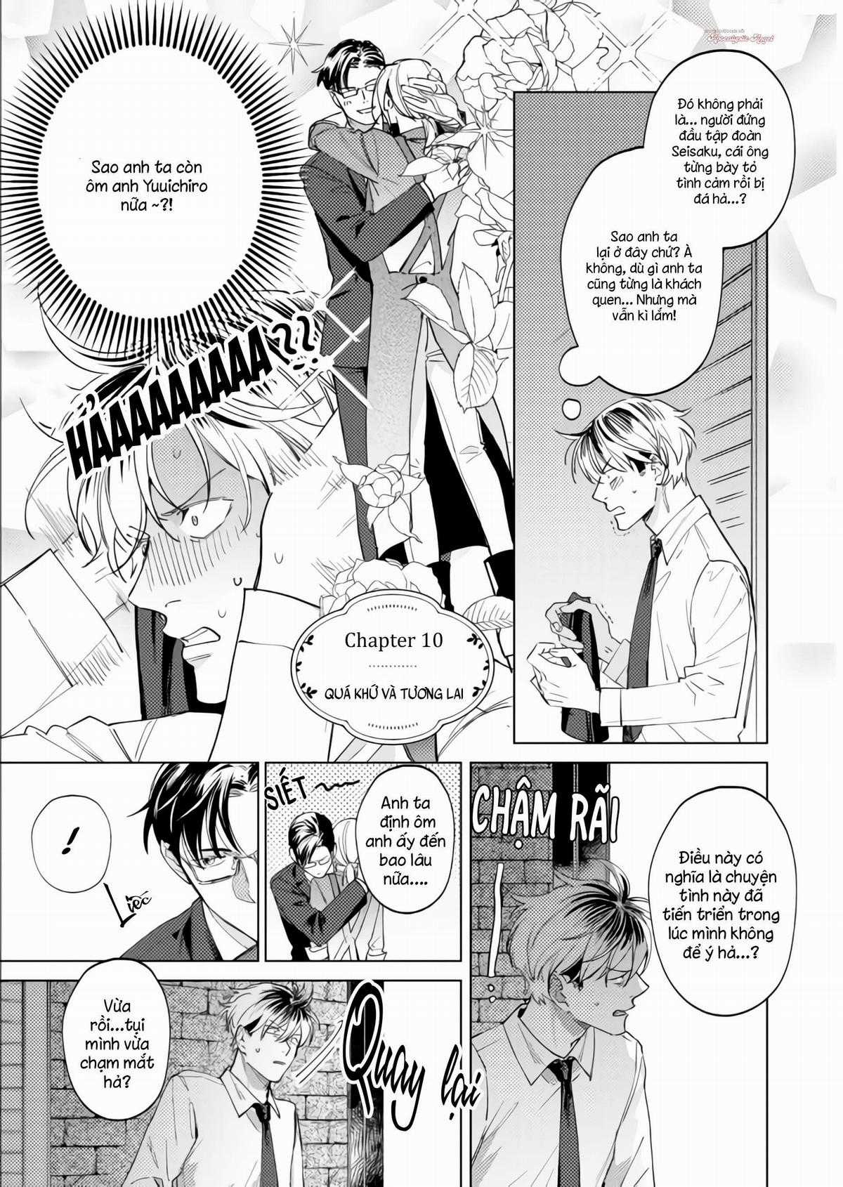 Ong Mật Và Tía Tô Đất - Chapter 10 - Trang 3