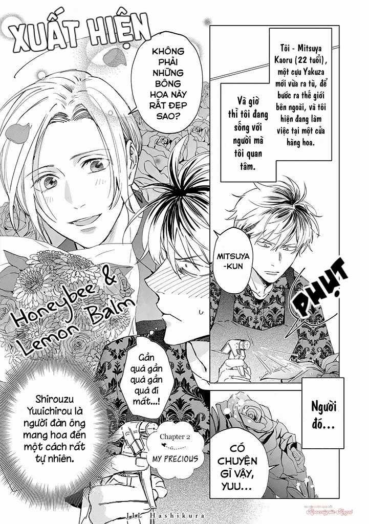 Ong Mật Và Tía Tô Đất - Chapter 2 - Trang 3