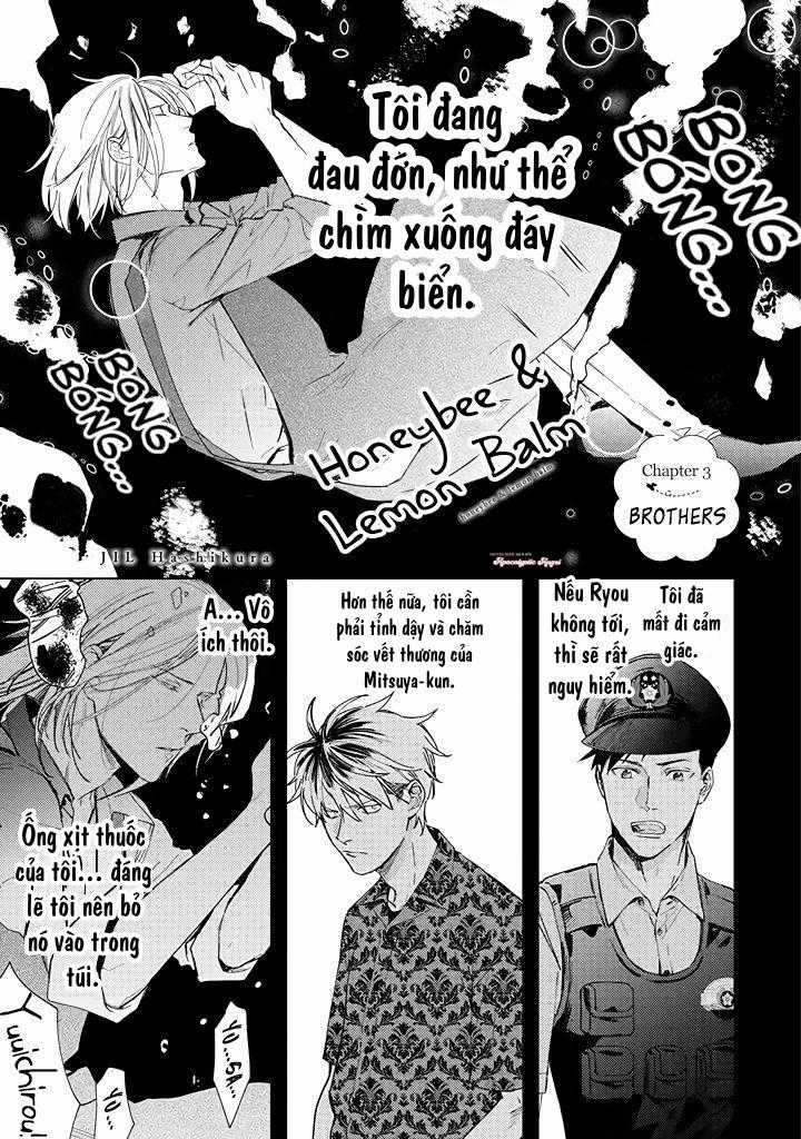 Ong Mật Và Tía Tô Đất - Chapter 3 - Trang 3