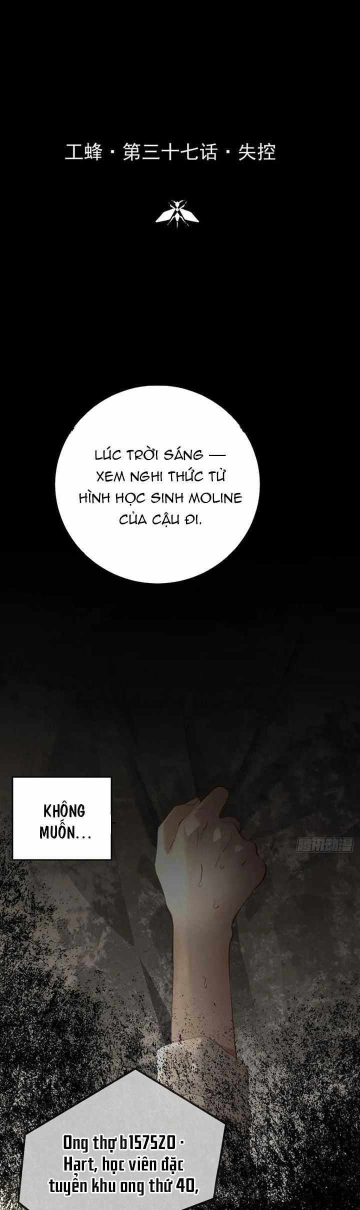 Ong Thợ - Chapter 37 - Trang 2