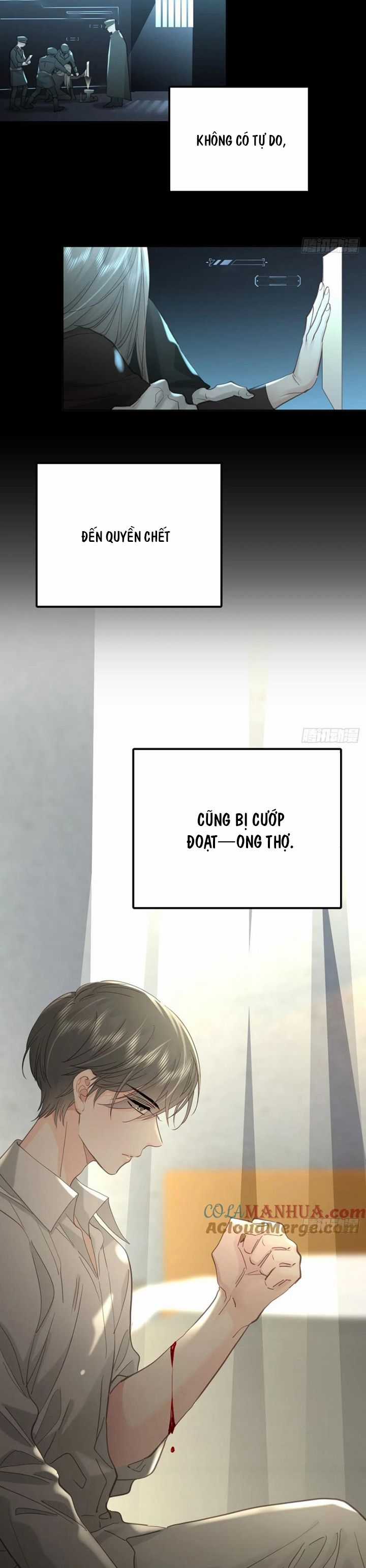 Ong Thợ - Chapter 39 - Trang 12