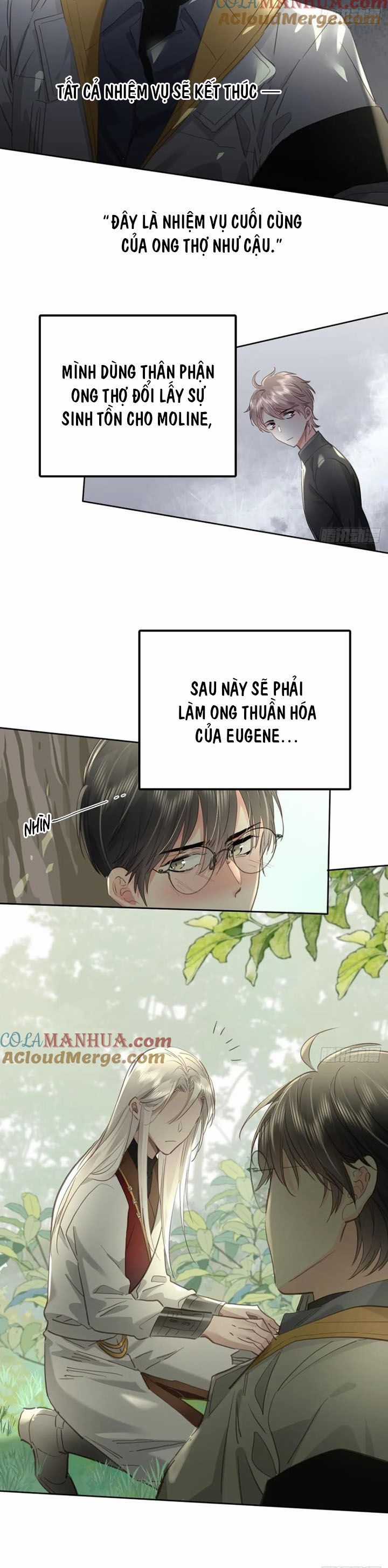 Ong Thợ - Chapter 41 - Trang 12