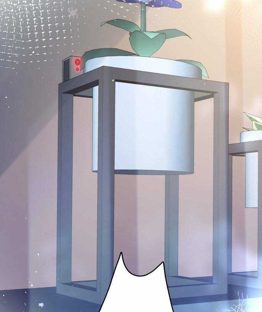 Ông Trùm Phản Diện Là Nữ - Chapter 13 - Trang 61