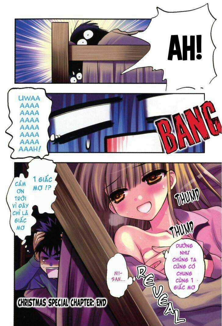 Oniichan Control - Chapter 13.5 - Trang 9