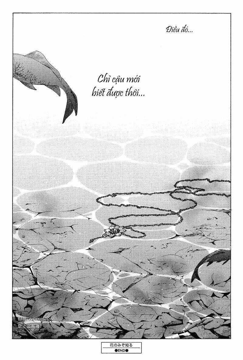 Only The Flower Knows - Chapter 12 - Trang 26