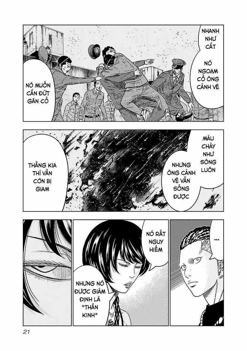 Out - Chapter 65 - Trang 17