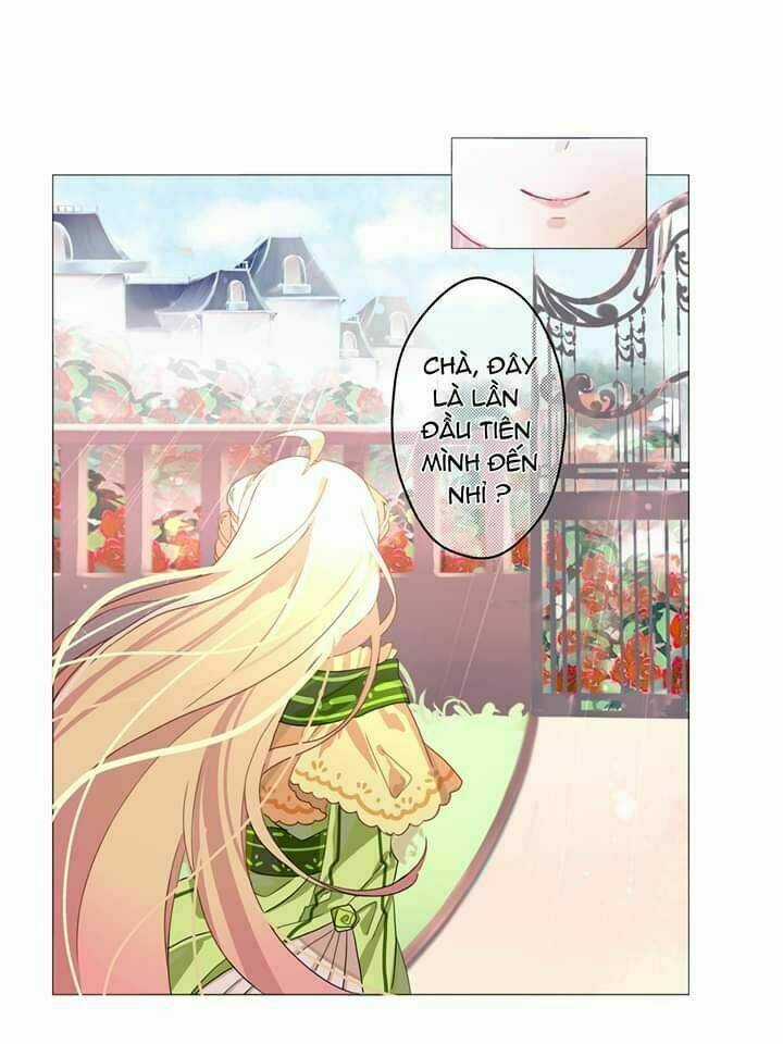 Palawari's Choice - Chapter 0 - Trang 19