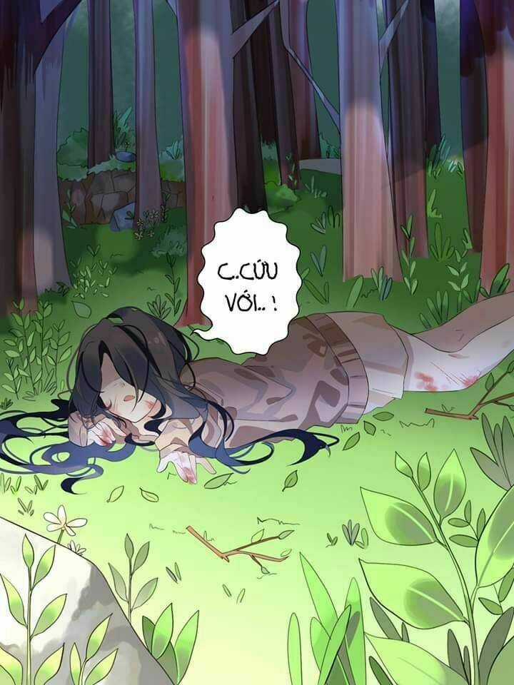 Palawari's Choice - Chapter 0 - Trang 7