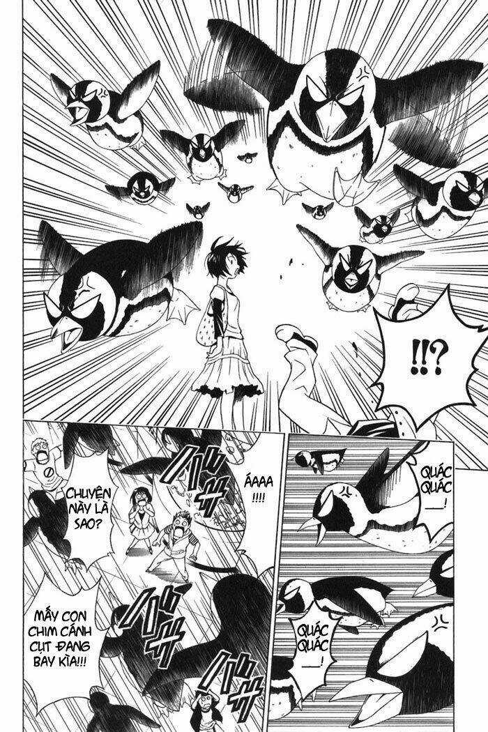 Palawari's Choice - Chapter 10 - Trang 19