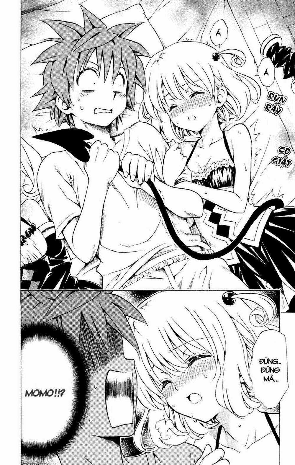 Palawari's Choice - Chapter 116 - Trang 11