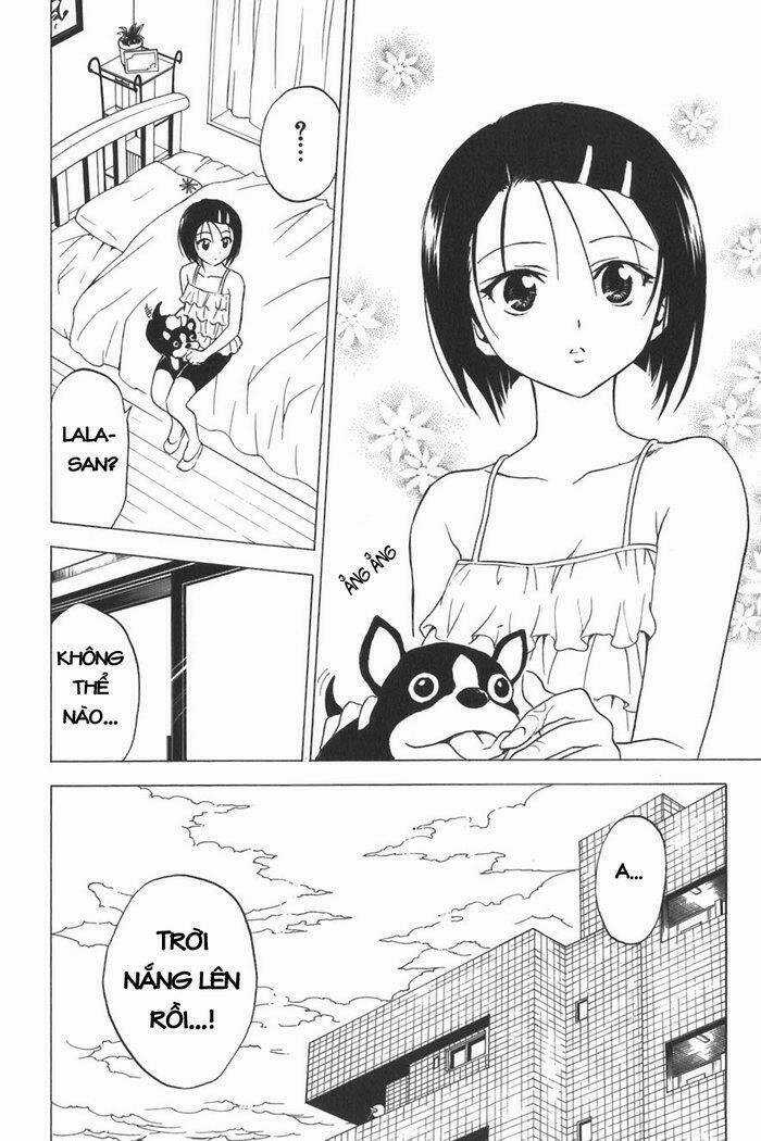 Palawari's Choice - Chapter 14 - Trang 17