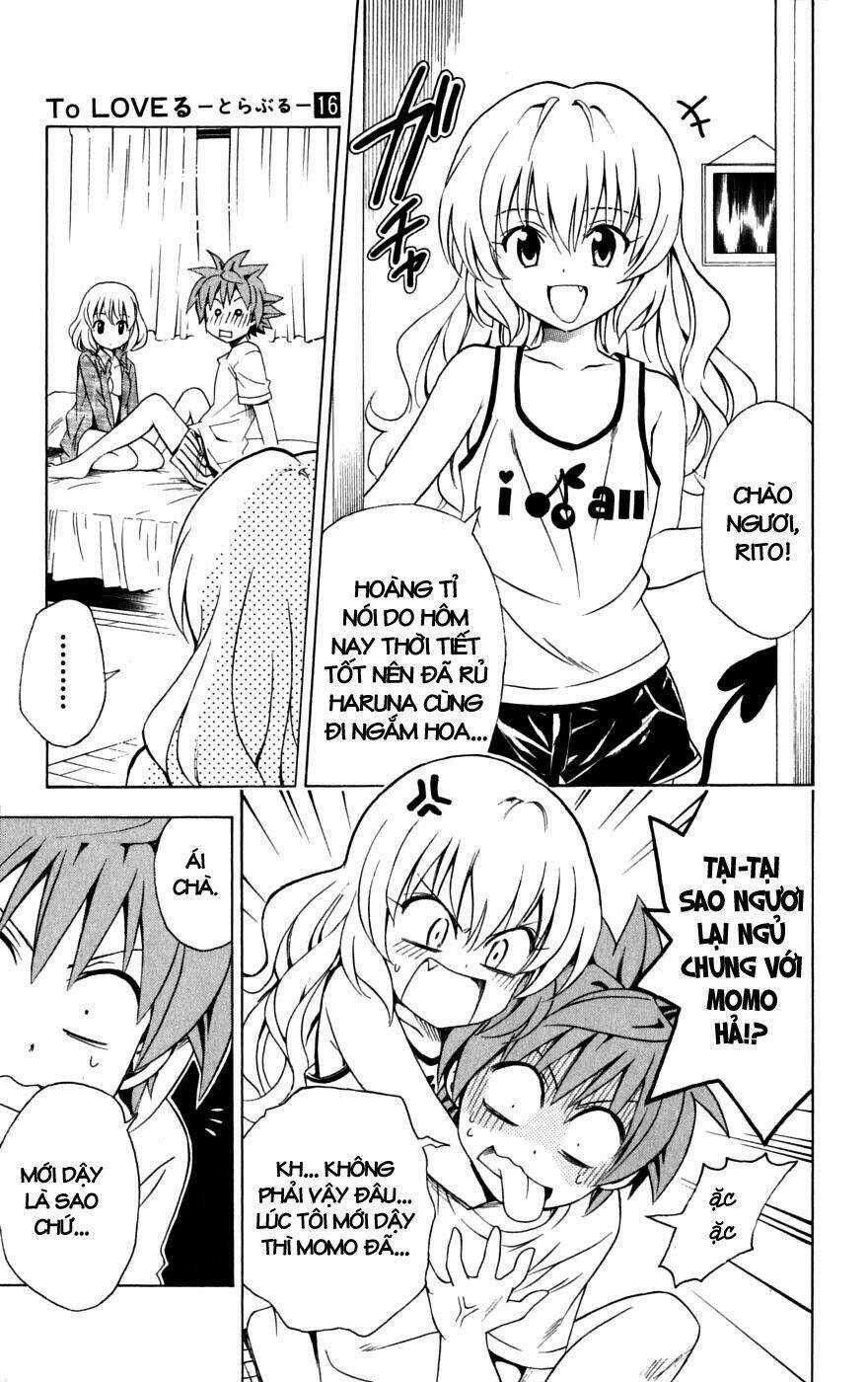 Palawari's Choice - Chapter 141 - Trang 3