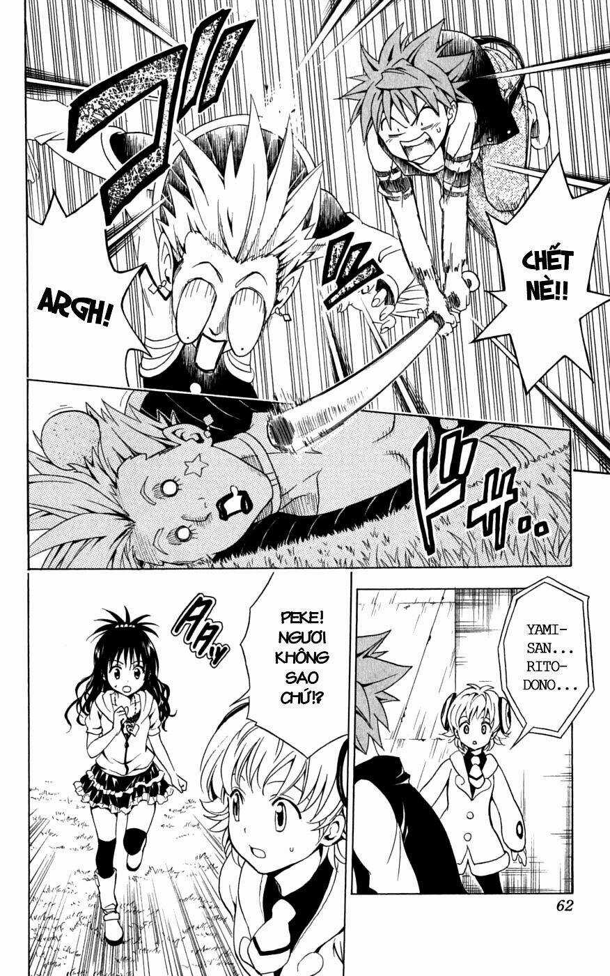 Palawari's Choice - Chapter 145 - Trang 16