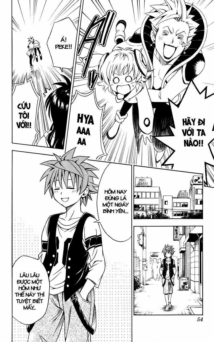 Palawari's Choice - Chapter 145 - Trang 8